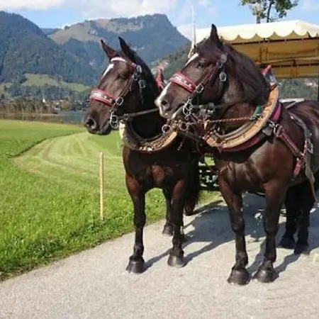 Lejlighed Reitanlage Dagnhof Walchsee
