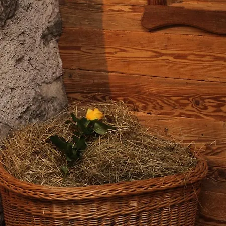 Reitanlage Dagnhof Lejlighed