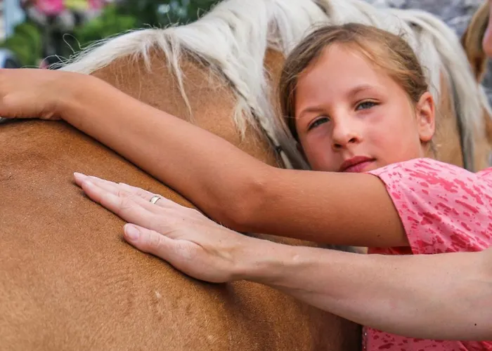 Reitanlage Dagnhof Appartement Walchsee