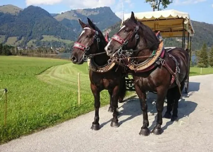 Appartement Reitanlage Dagnhof Walchsee