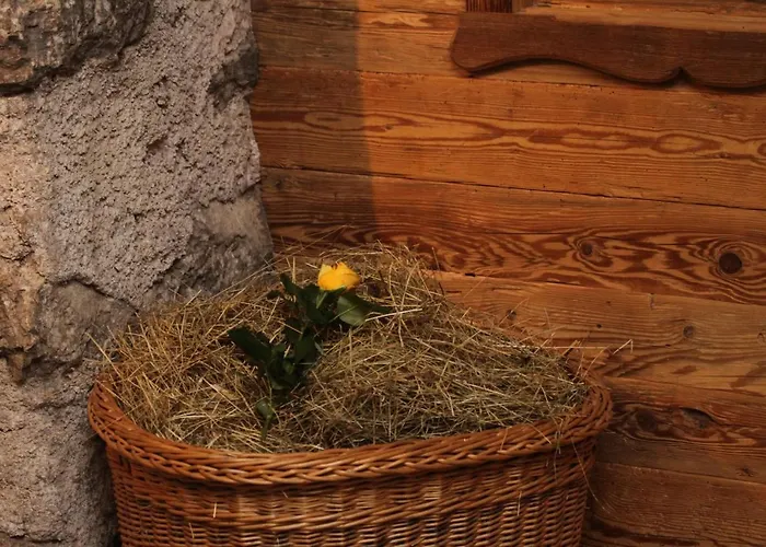 Reitanlage Dagnhof Appartement